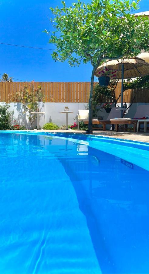 Rodi Blue Apartments Amoudara Lasithiou エクステリア 写真